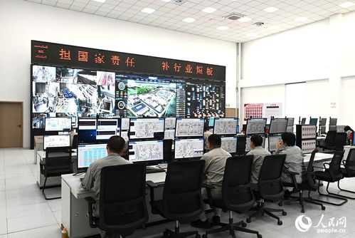 向智向綠，雙輪驅(qū)動(dòng) 技術(shù)咨詢助力中國(guó)硅基材料產(chǎn)業(yè)破局前行